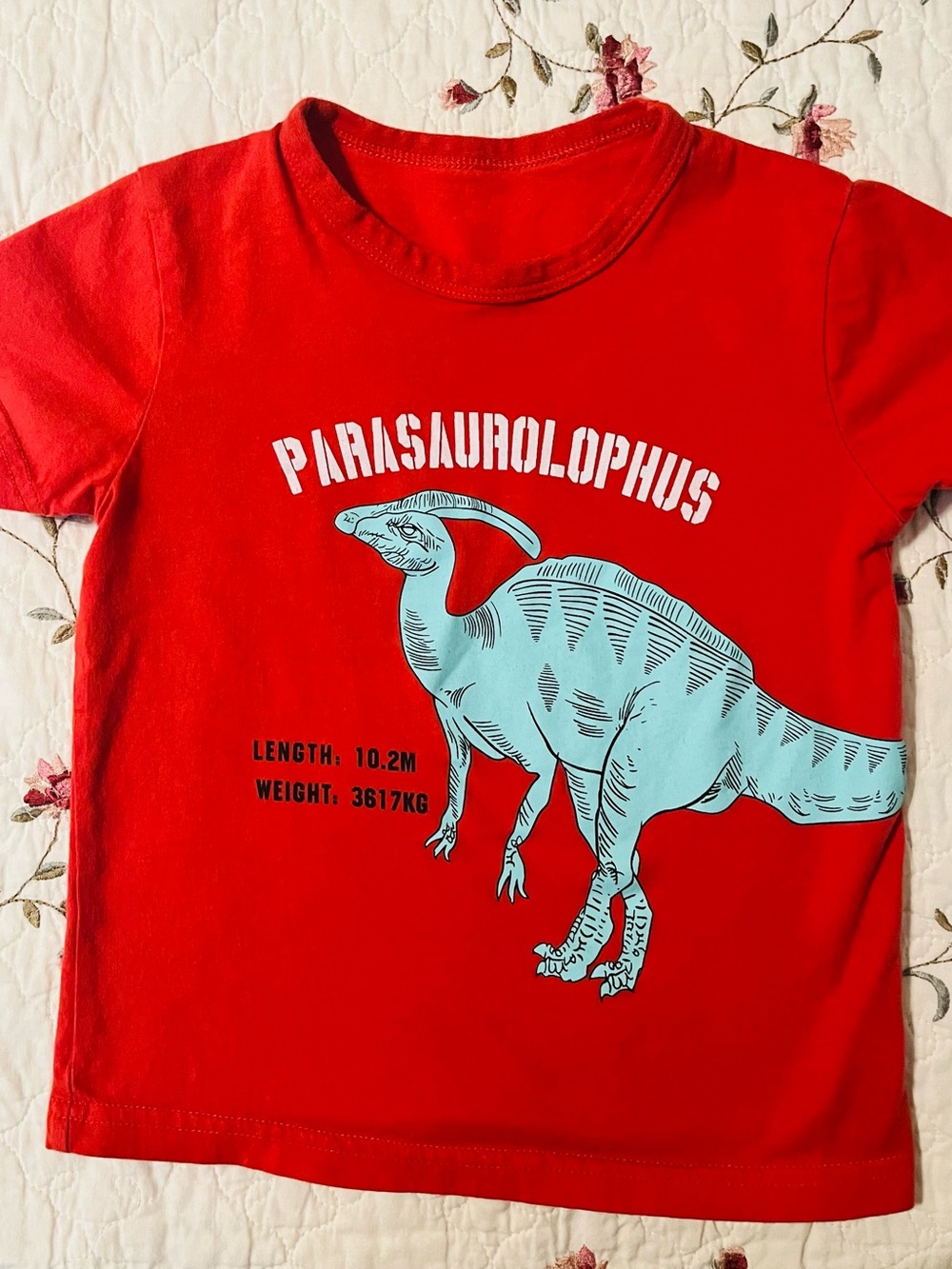 Kids Red Parasaurolophus Dino Graphic Tee